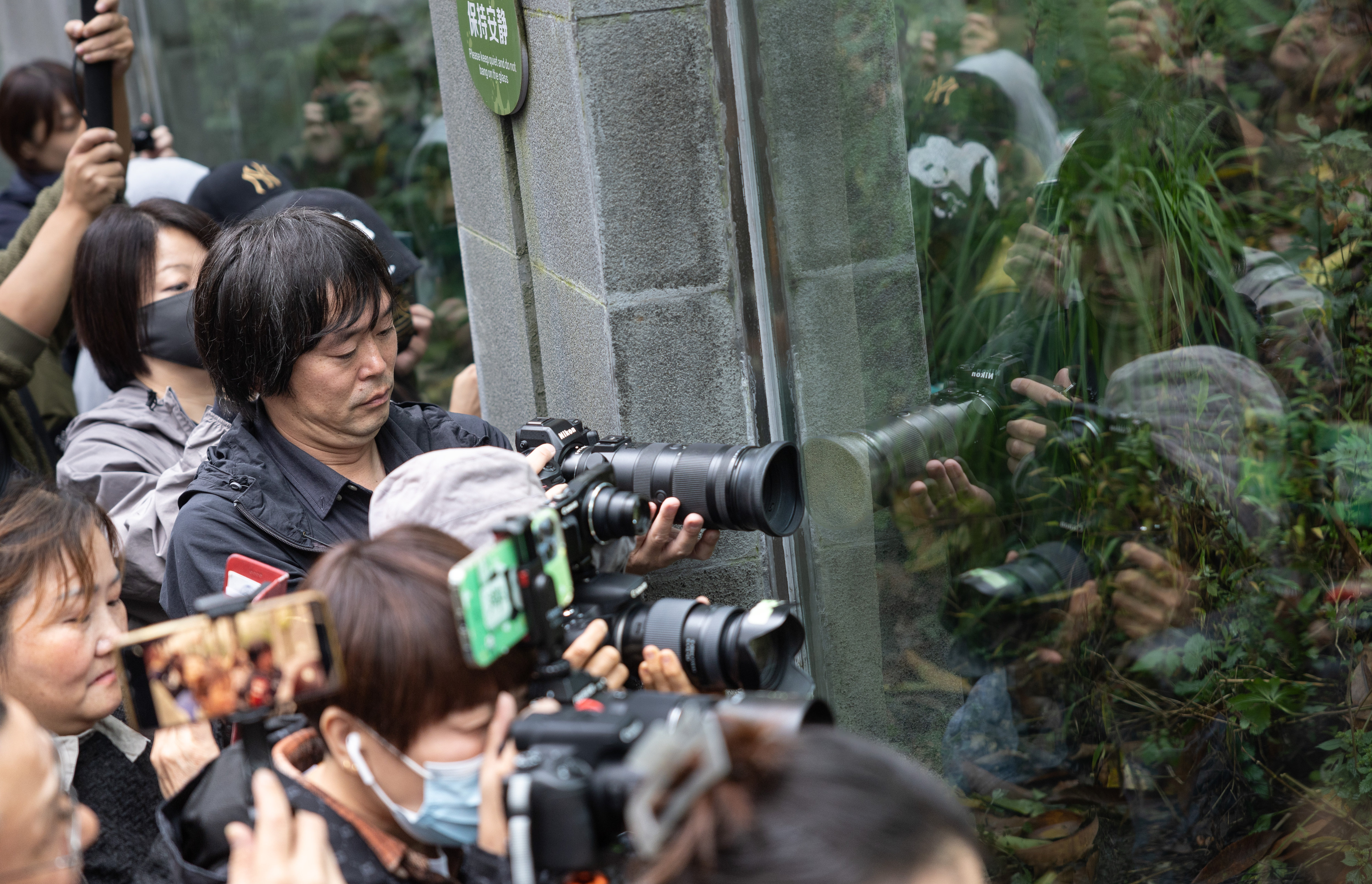 娛樂城:日本攝影家與中國大熊貓的情緣